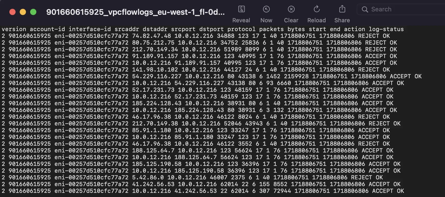 VPC flow logs